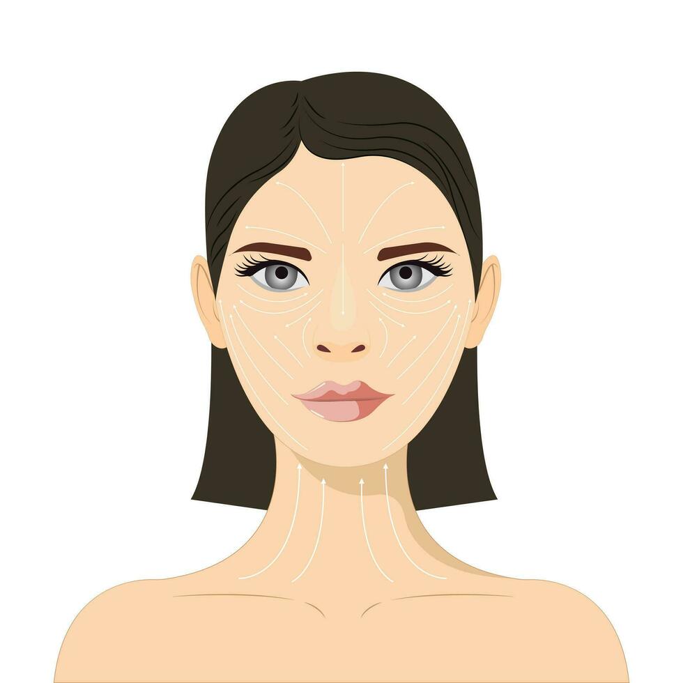 facial masaje esquema, visual masaje guía. antienvejecimiento, levantamiento métodos de esculpir puntada modelo para radiante y multa piel vector