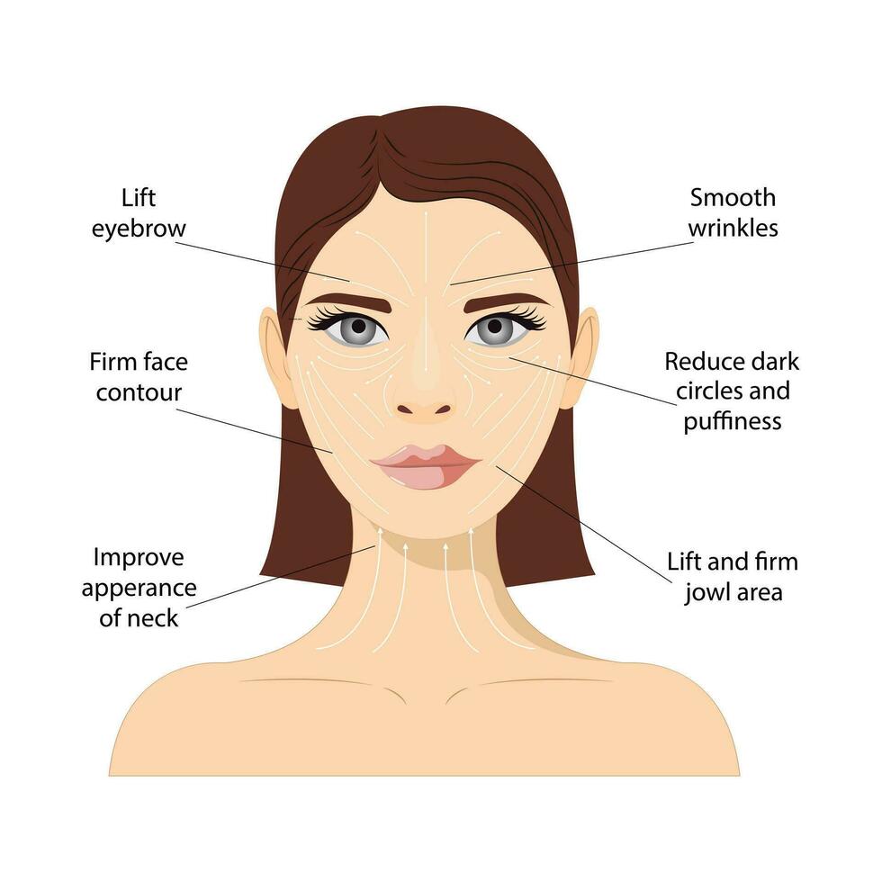 facial masaje esquema, visual masaje guía. antienvejecimiento, levantamiento métodos de esculpir puntada modelo para radiante y multa piel vector