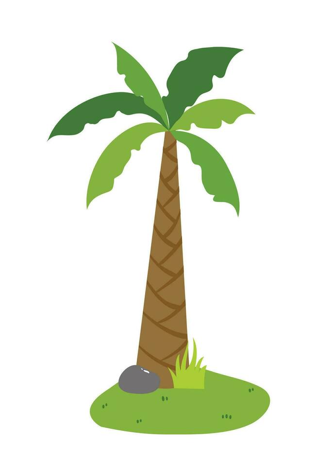Palm Tree Illustration In Flat Style Isolated In White Background. Tropical Summer Plant Illustration. vector