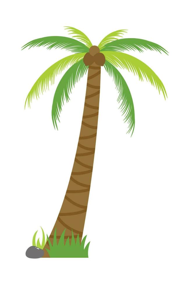 Palm Tree Illustration In Flat Style Isolated In White Background. Tropical Summer Plant Illustration. vector