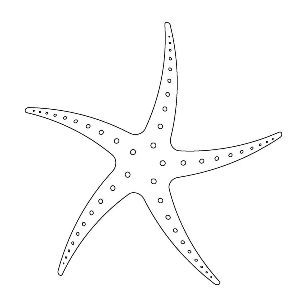 Star fish icon vector