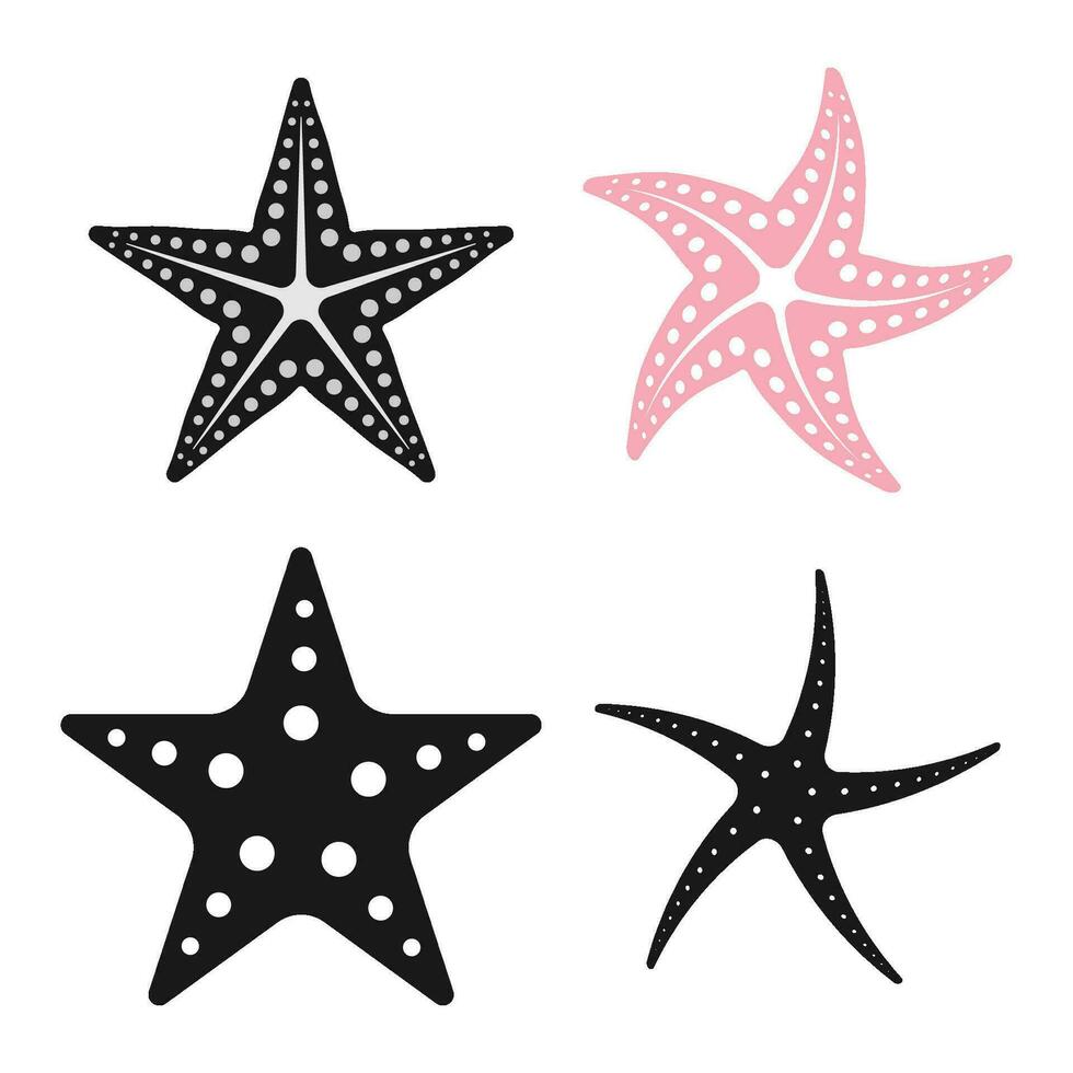 Star fish icon vector