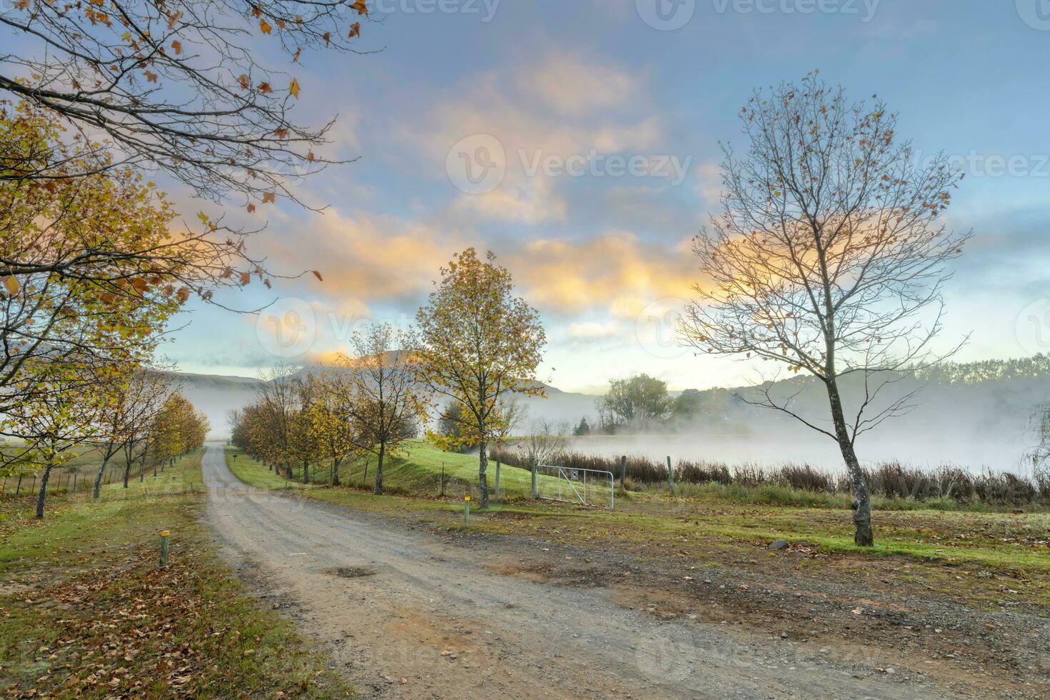 Early morning mist in autumn and yellow clouds at sunrise photo