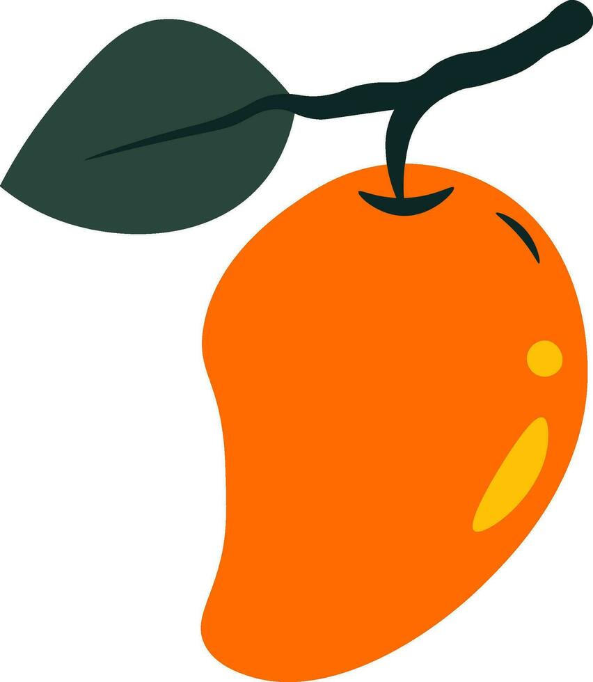 mango flat illustration, full color icon vector