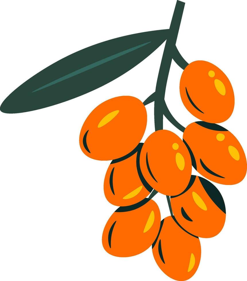 aceituna plano ilustración, lleno color icono vector