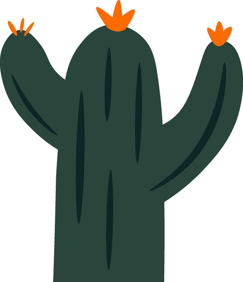 Cactus flat illustration, full color icon vector