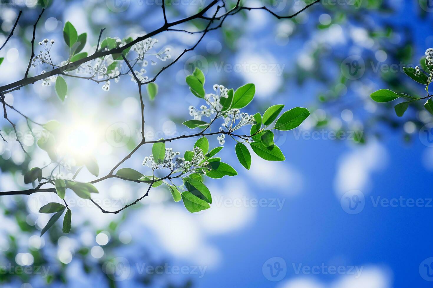 Nature View of Flowering Tree Branches AI Generative photo