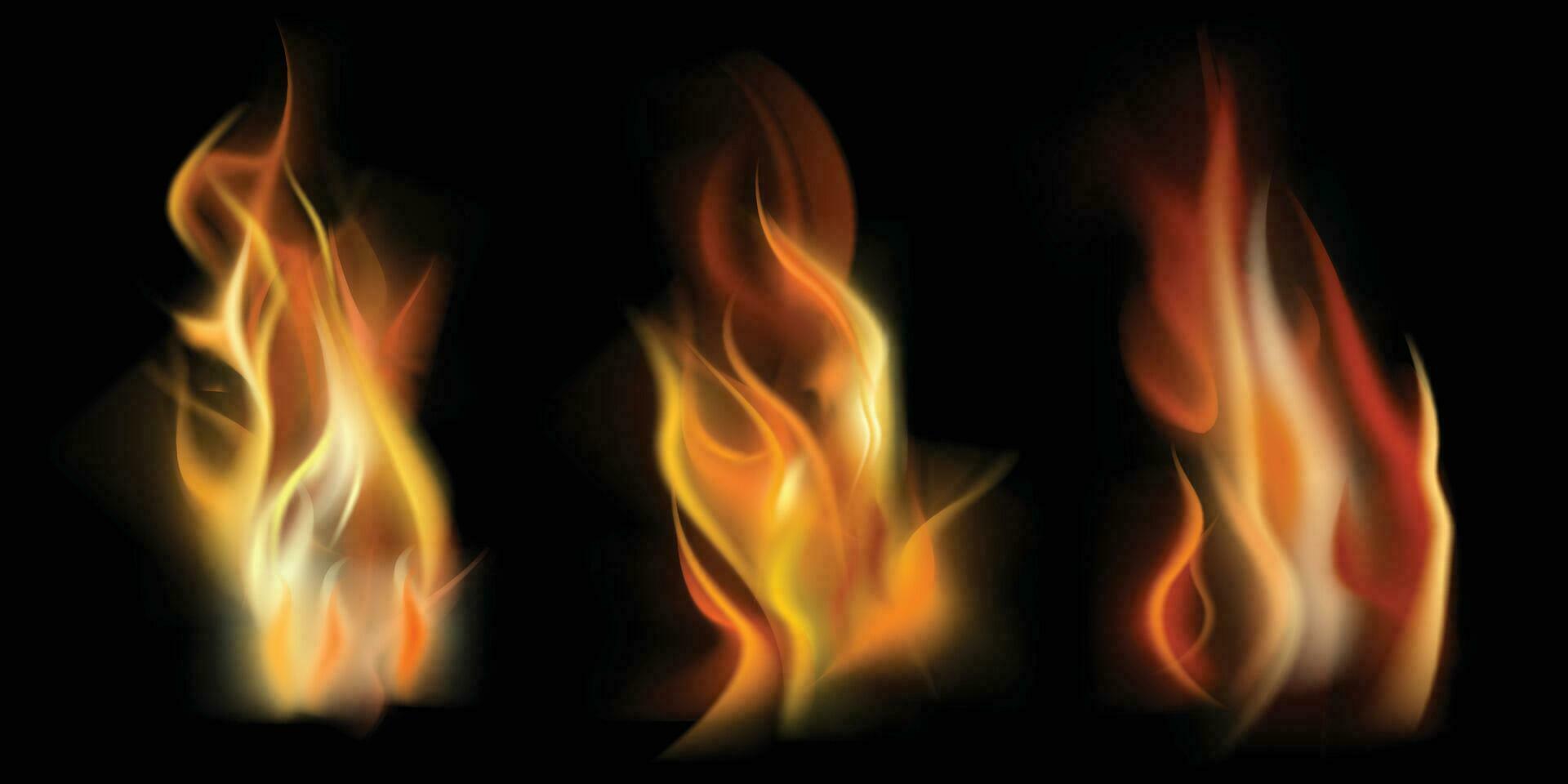 Set of flame element vector isolate on black background