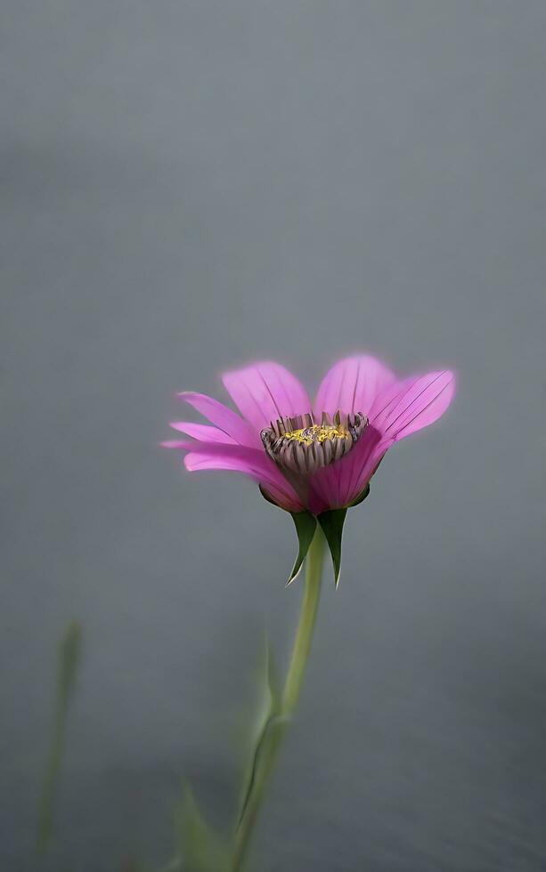 Beautiful single flower on grey background. AI Generative photo