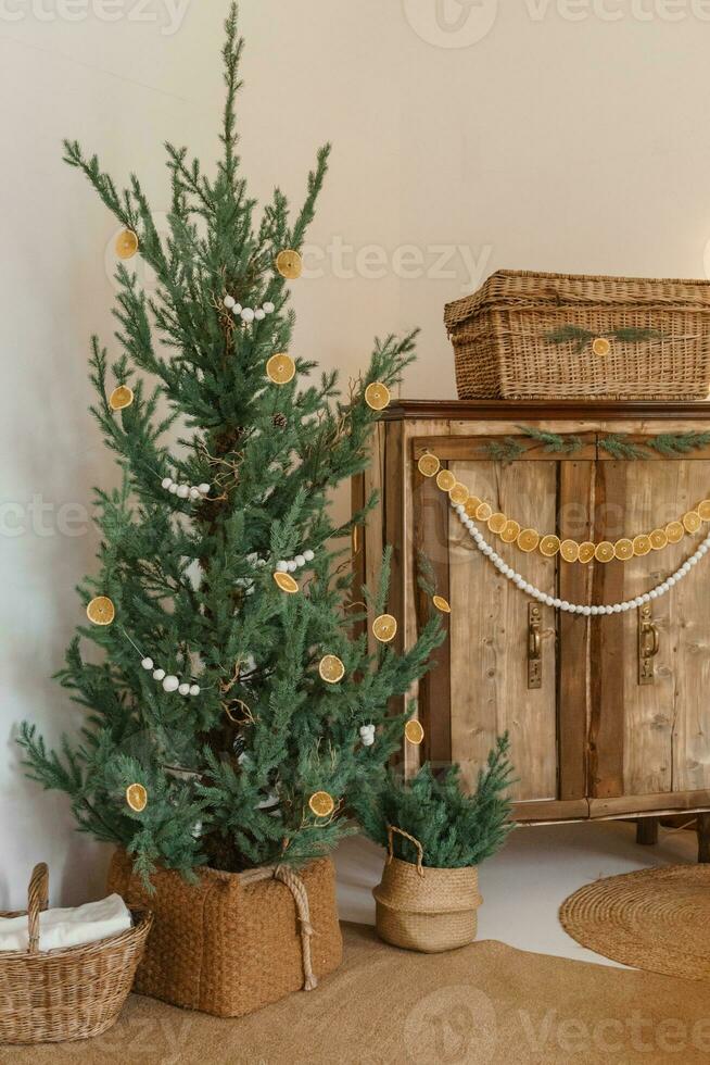 Cozy interior decorated for Christmas in Scandinavian style. Live fir trees decorated with natural ornaments made of dried oranges photo