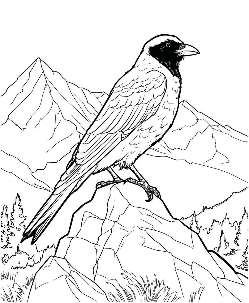 Magpie Bird coloring pages for adults vector