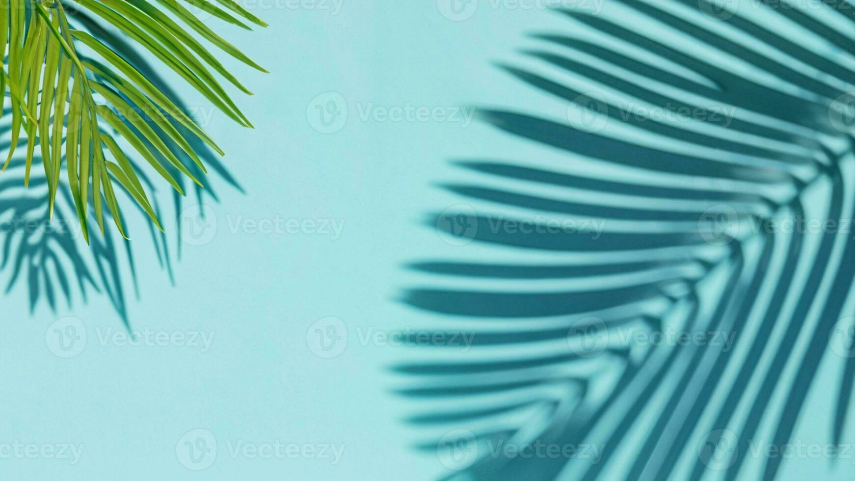 Palm Leaves Shadow on the light blue wall. Spring and summer. Ai Generative. photo