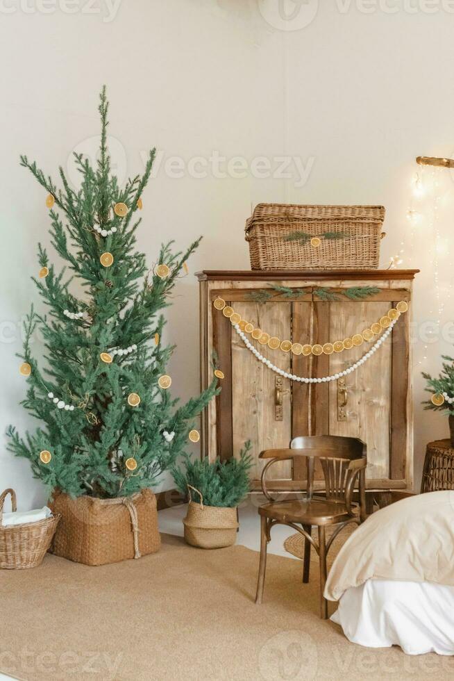 Cozy interior decorated for Christmas in Scandinavian style. Live fir trees decorated with natural ornaments made of dried oranges photo