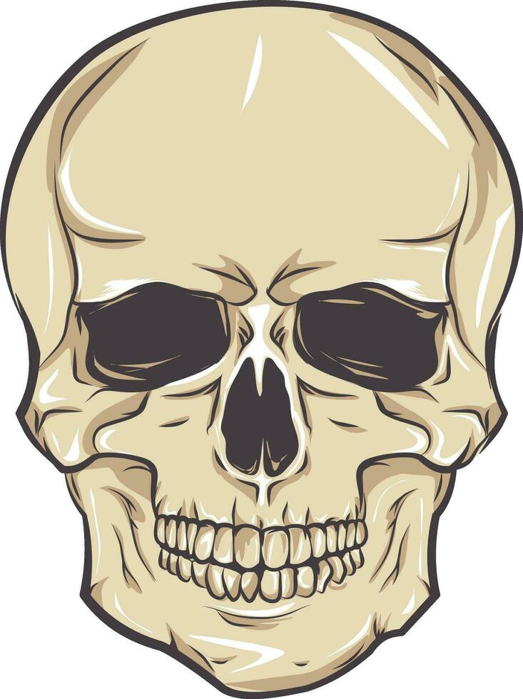 Vector human skull.  death shirt design Pirate emblem concept. halloween concept