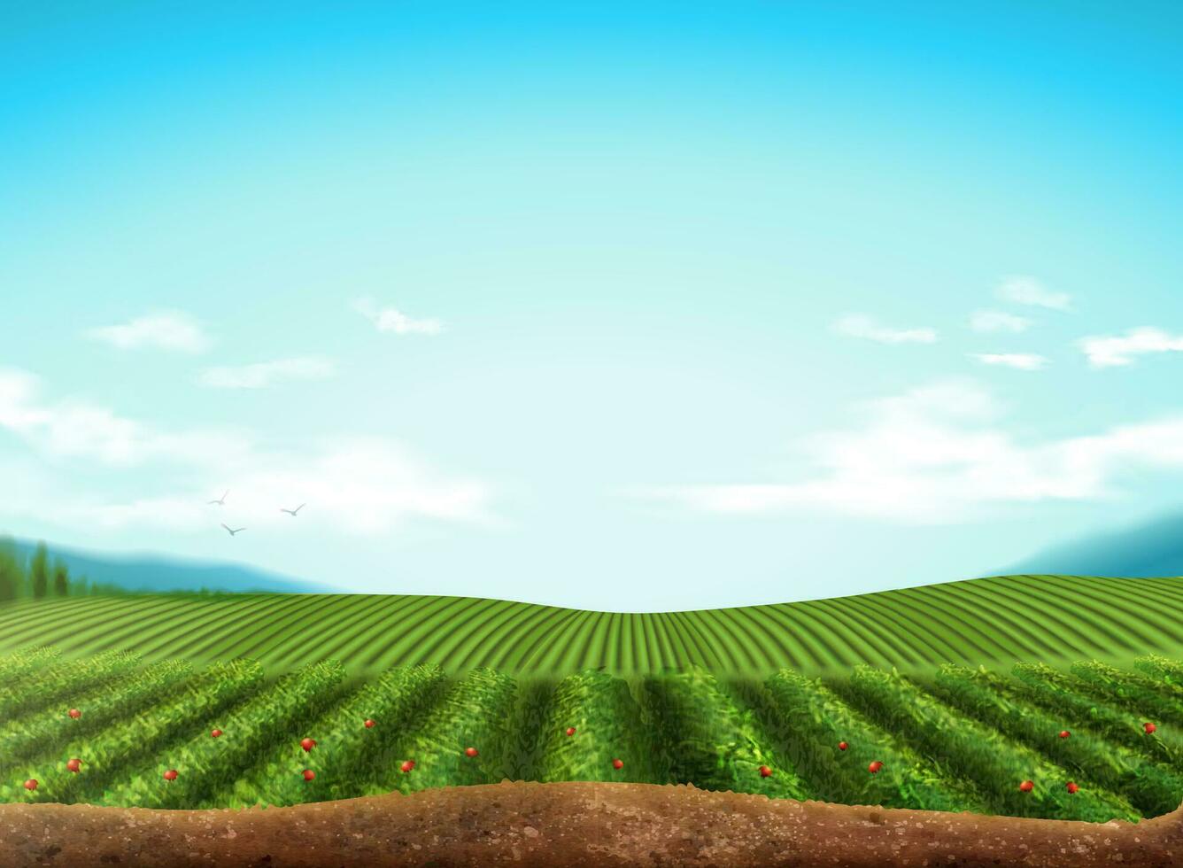 Green field with blue sky background in 3d illustration vector