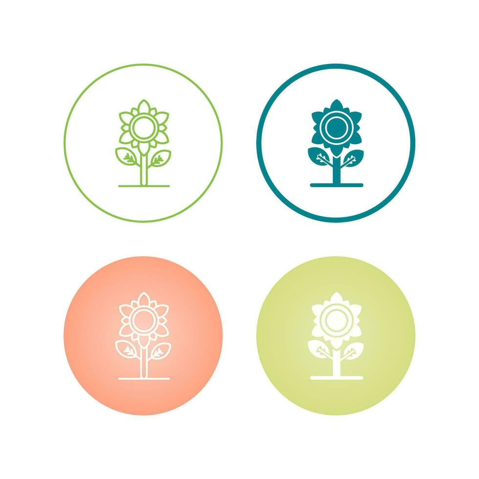 Sunflower Vector Icon