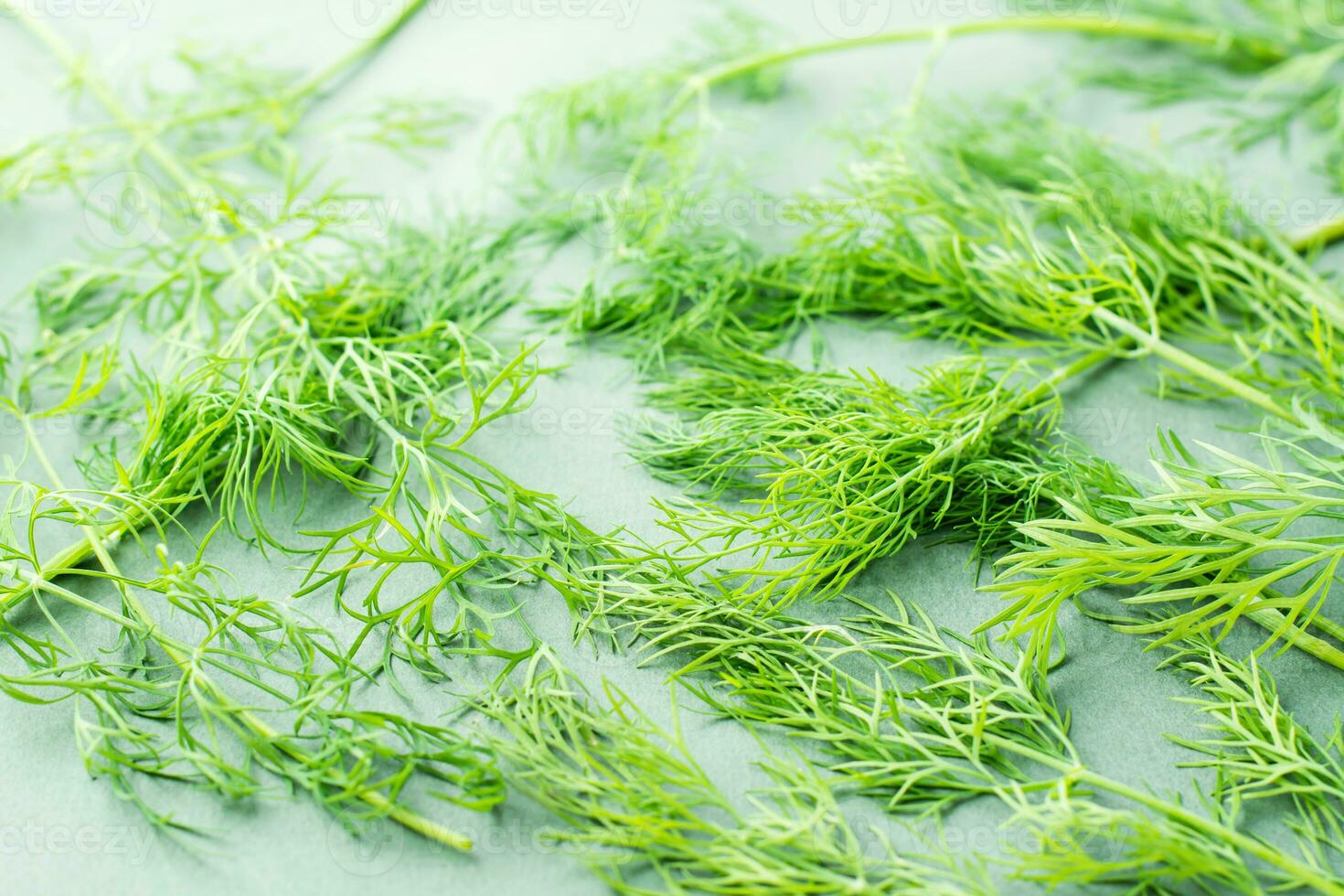 Branches of fresh dill chaotically on a green background. Vitamin Herbs in a healthy diet photo