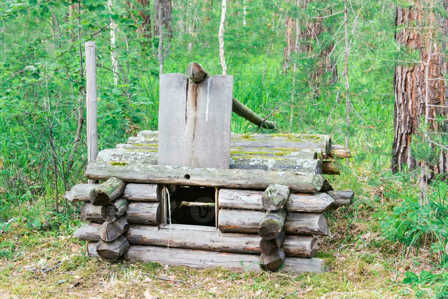 Ancient trap for animals made of logs in a summer forest. Life of prehistoric tribes photo