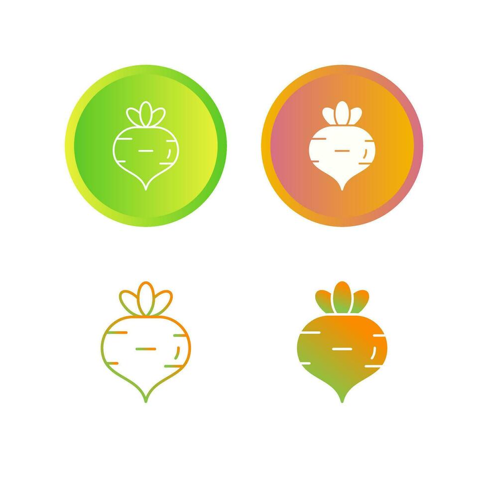 Turnip Vector Icon