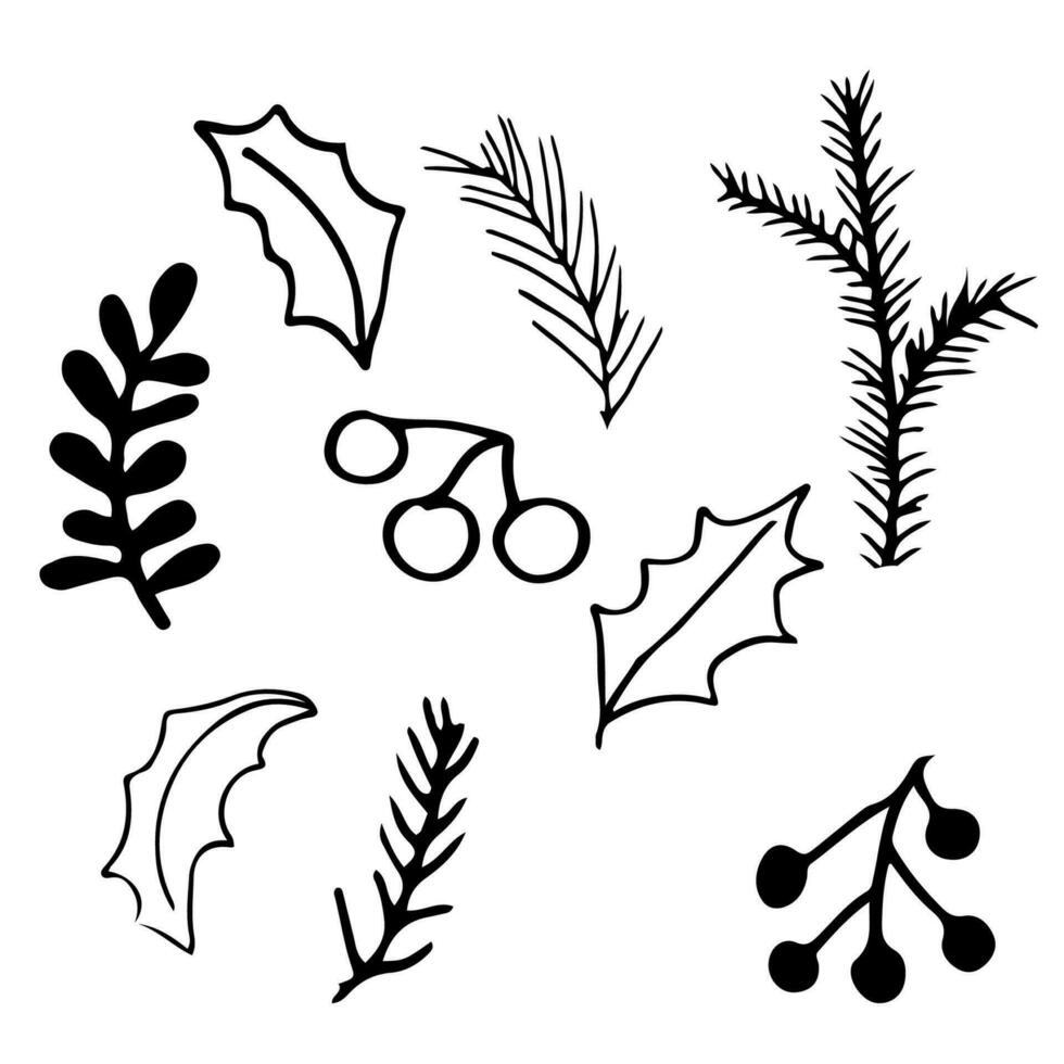 Pine cone, pine tree branch, berries and leaves set in doodle style isolated on white background. christmas decoration, winter forest. Vector illustration