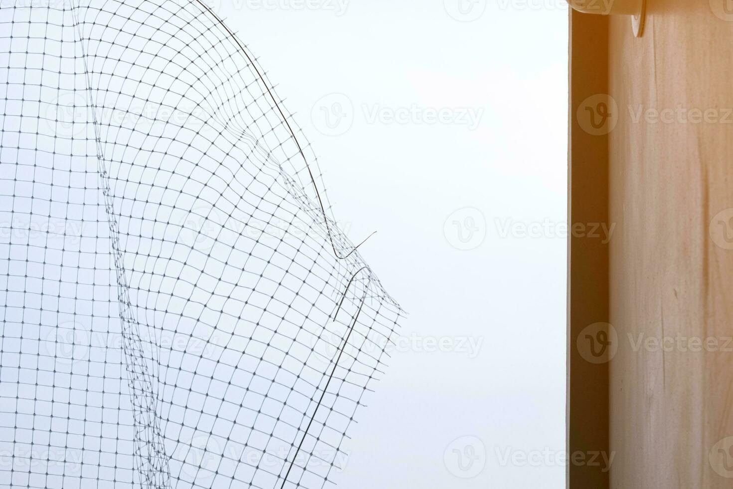 Install plastic net for protect pigeon bird in balcony apartment. Professional service man setup netting birds for clean and hygiene. Isolated on blue sky background photo