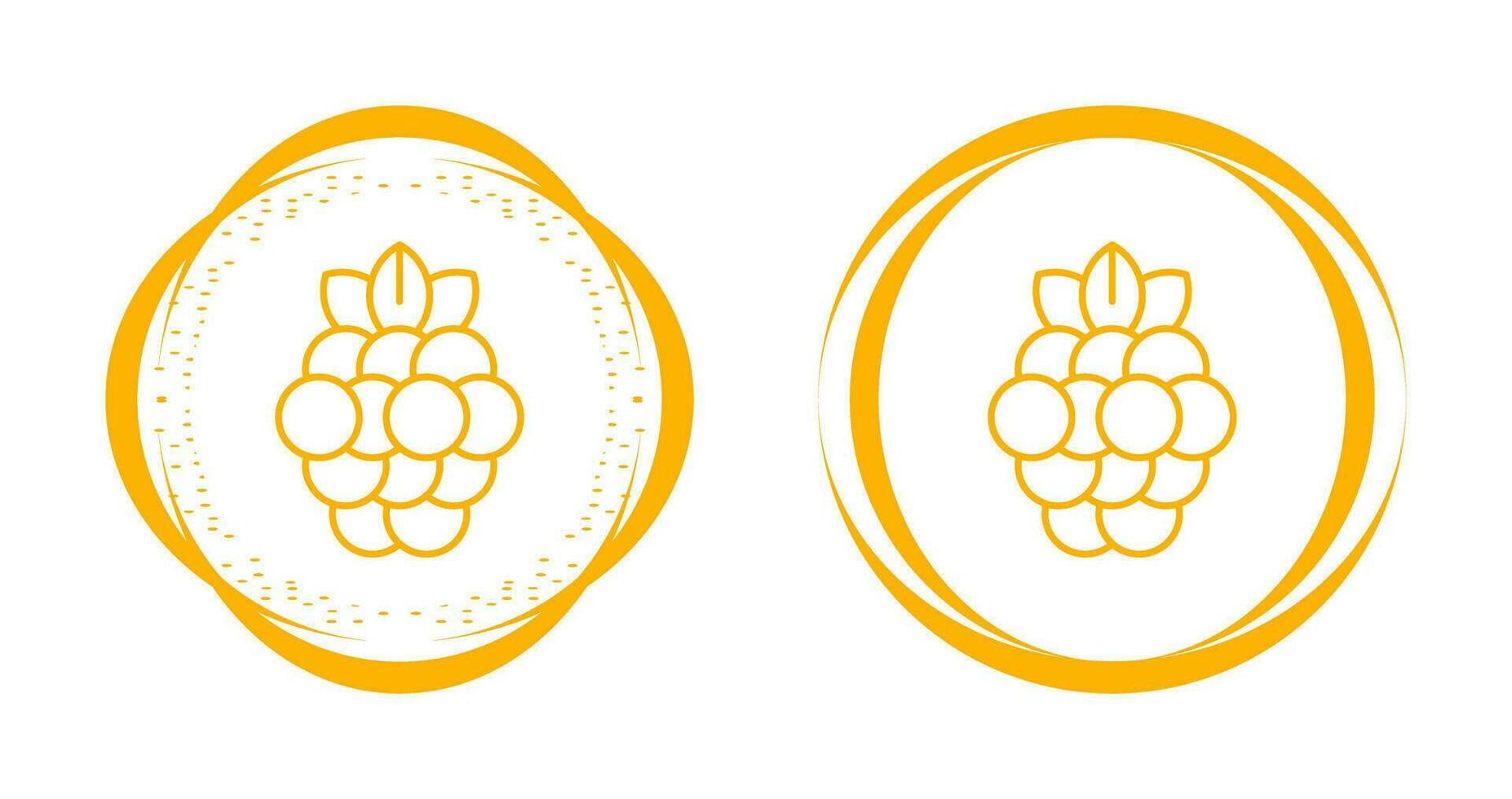 Raspberry Vector Icon