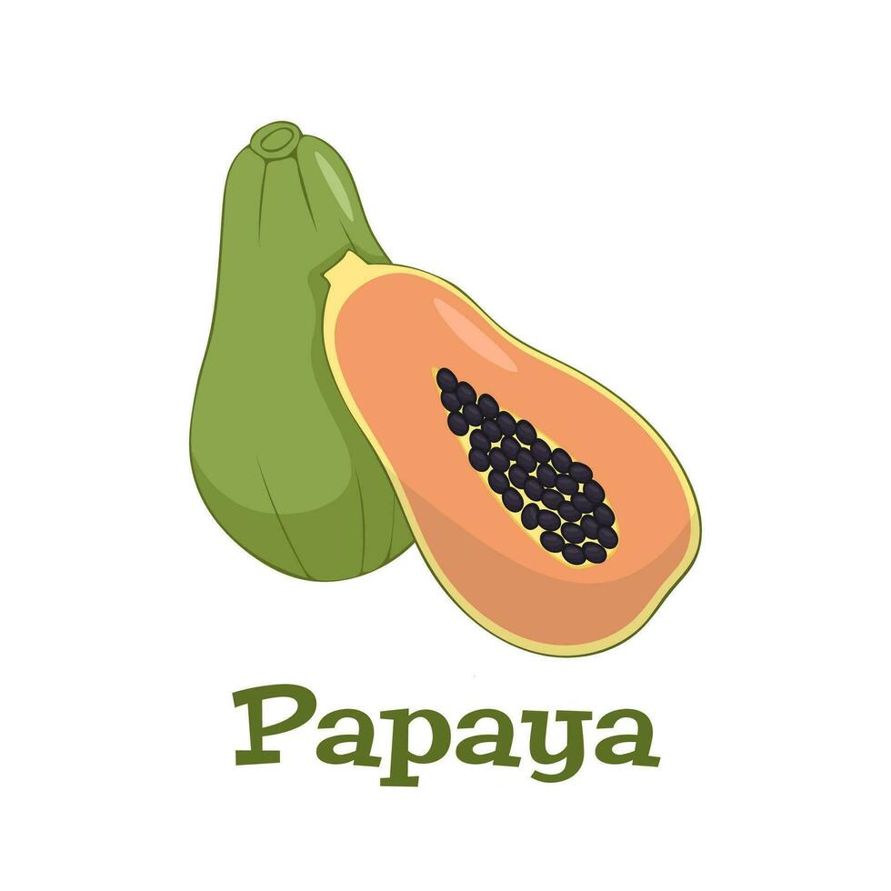 verano frutas para sano estilo de vida. papaya, todo Fruta y medio vector ilustración aislado en blanco.