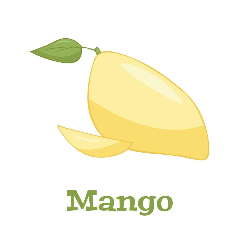 Mango fruit vector illustration isolated on a white backround