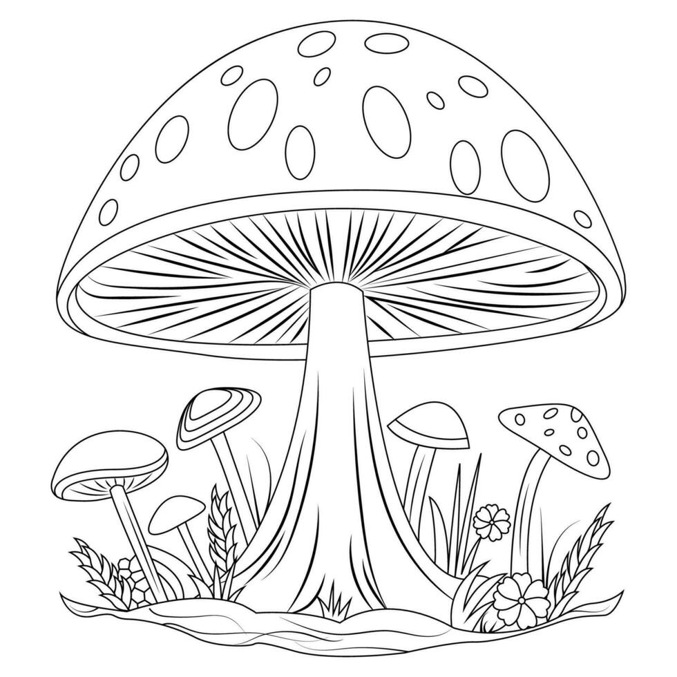 A few mushrooms. Children's coloring book. Large mushroom fly agaric vector