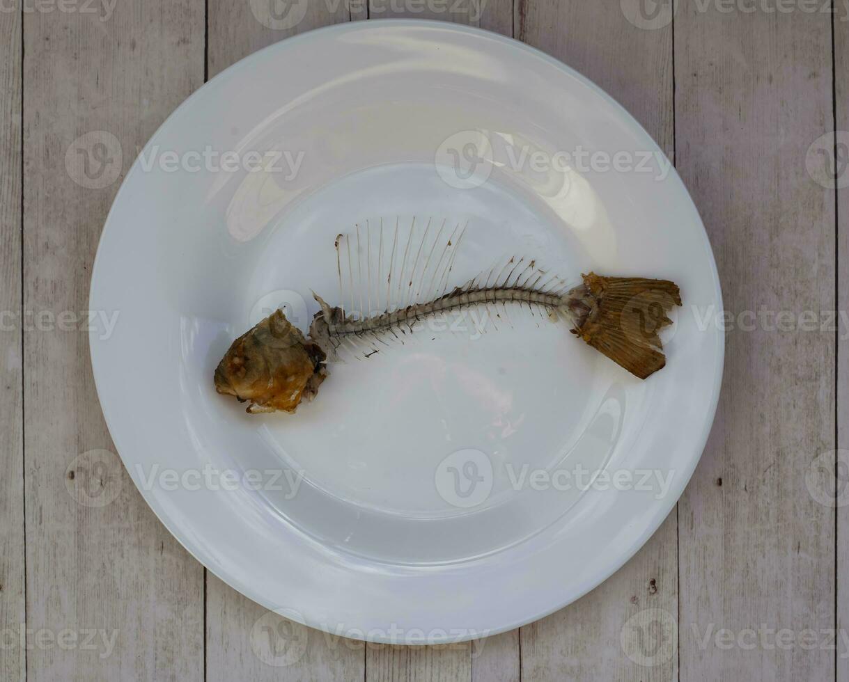 Abstract, complete bone of whole fish on plate. photo