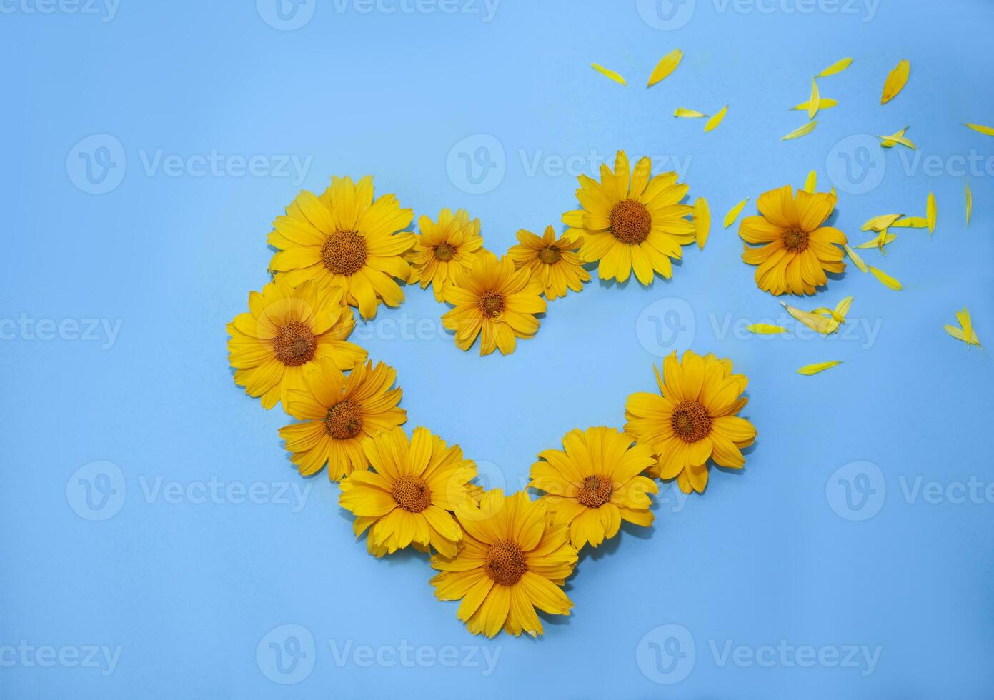 heart made of yellow flowers on a blue background. concepts of patriotism, state flag and independence of Ukraine. photo