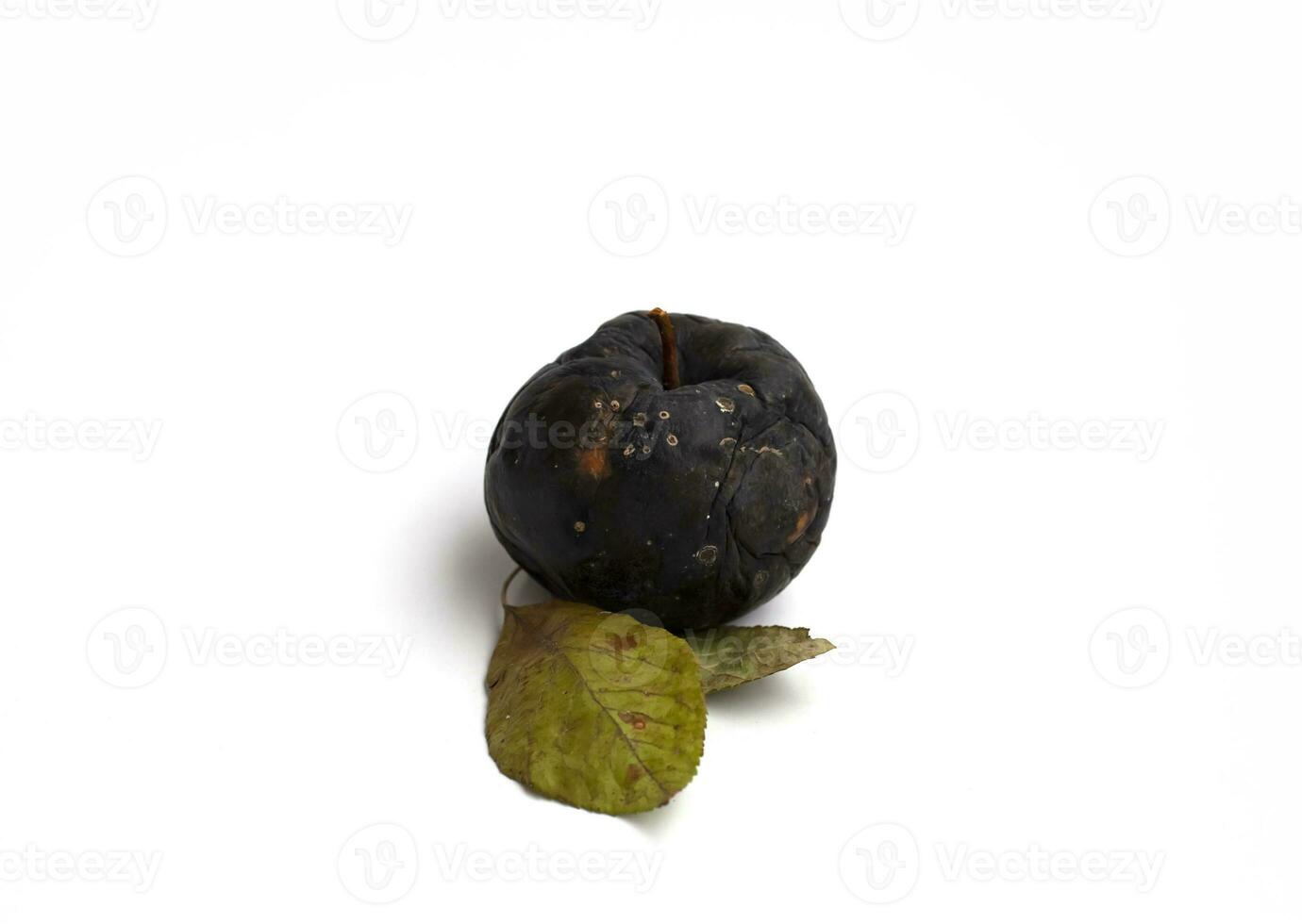 rotten apple is isolated on a white background photo