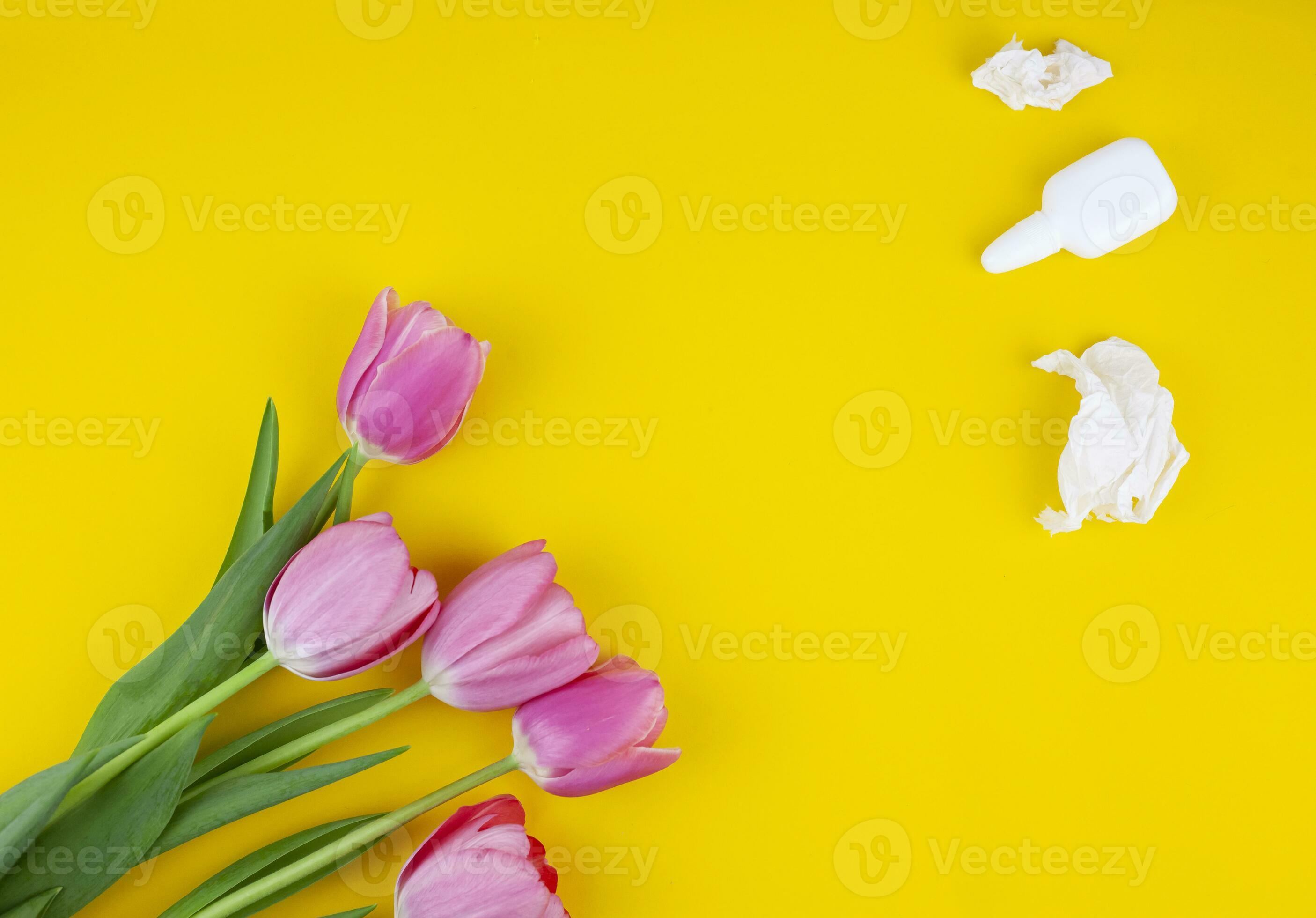 Allergic sufferer has red eyes, runny nose, stuffy, sore nose