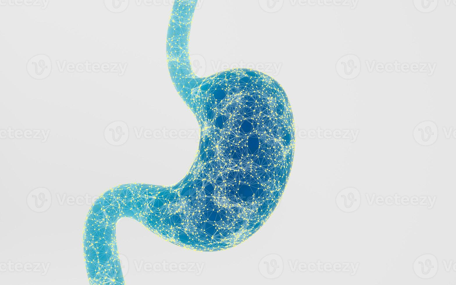 humano interno estómago con digital líneas, 3d representación. foto