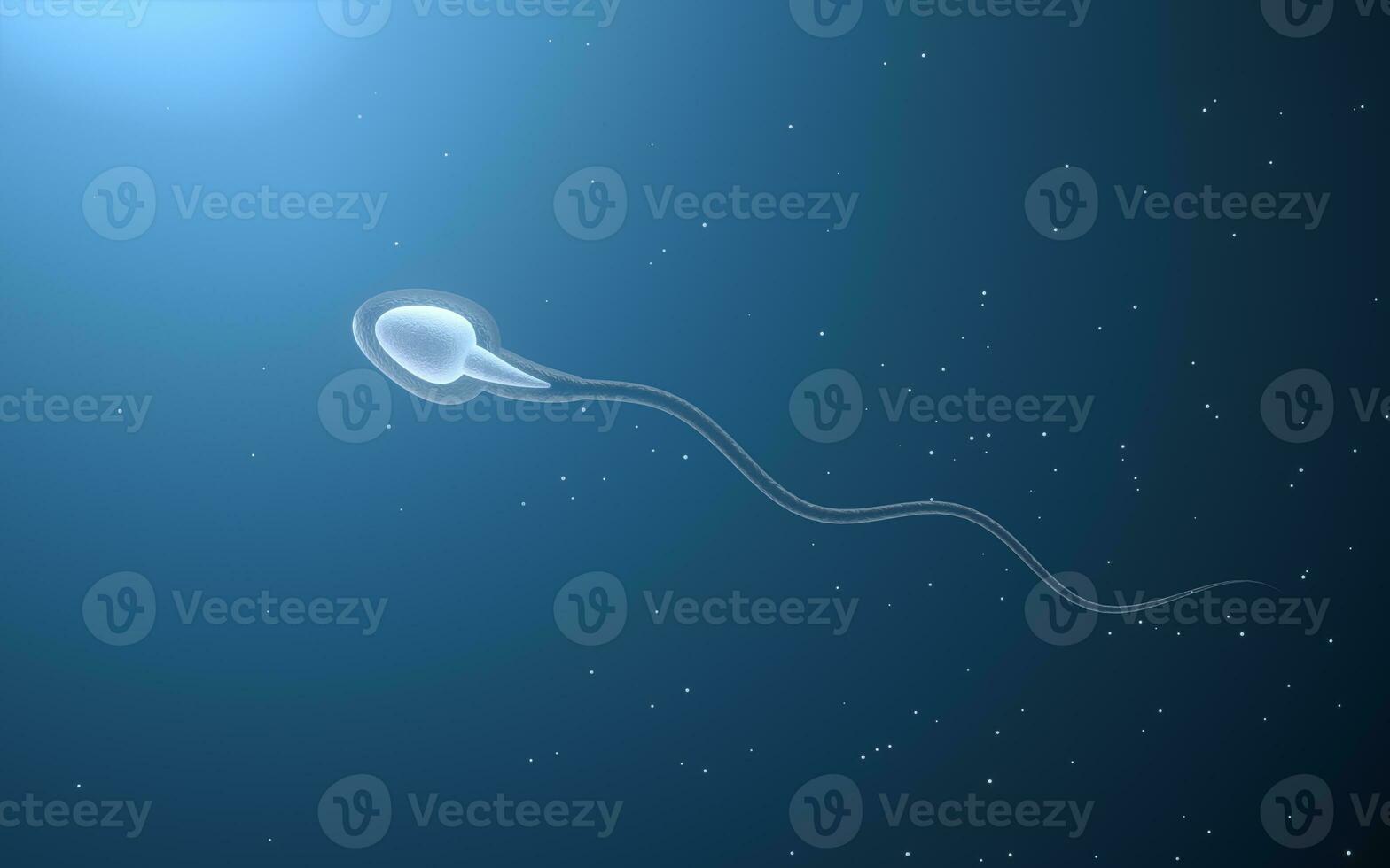 Human sperm cells, 3d rendering. photo