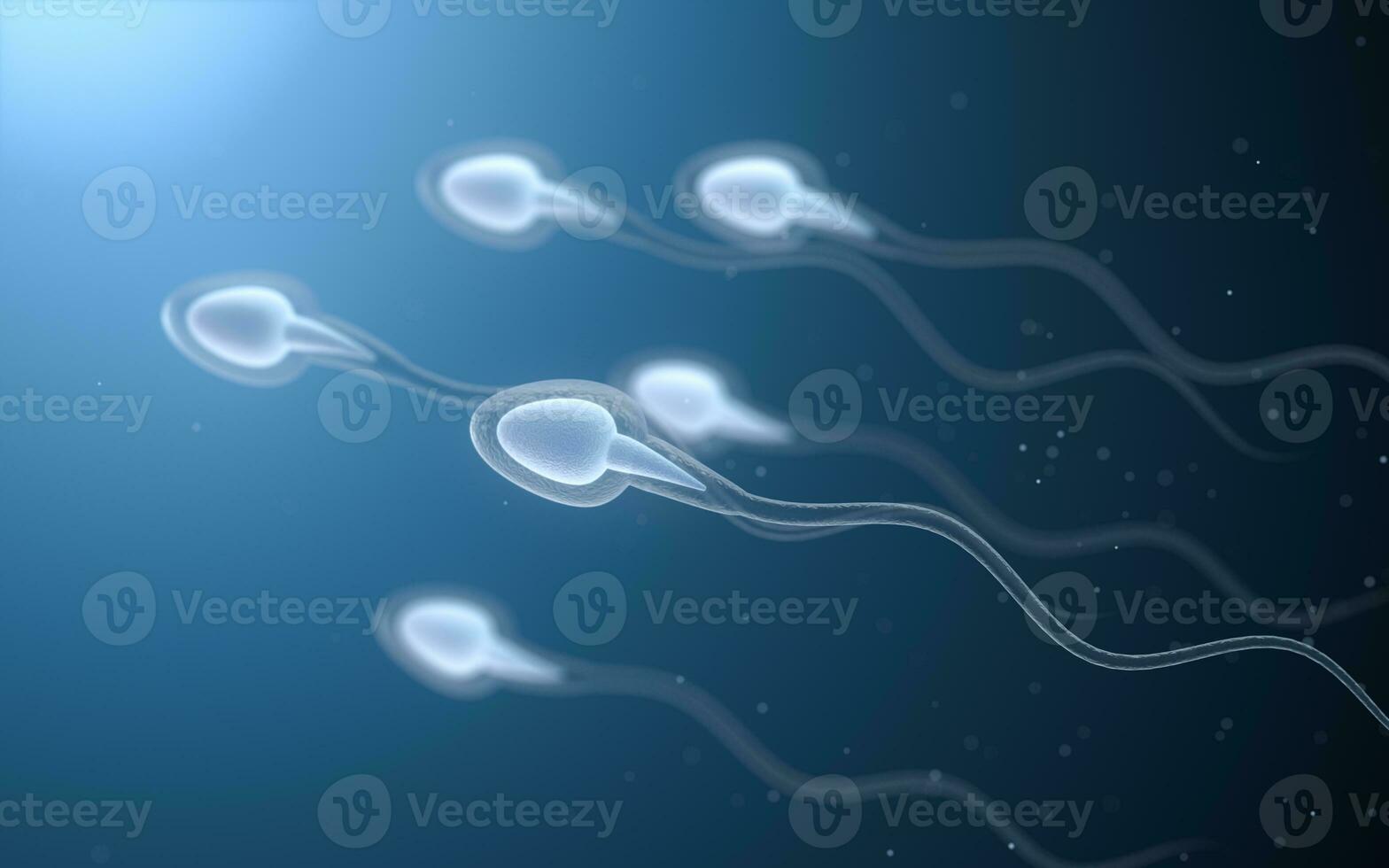 Human sperm cells, 3d rendering. photo