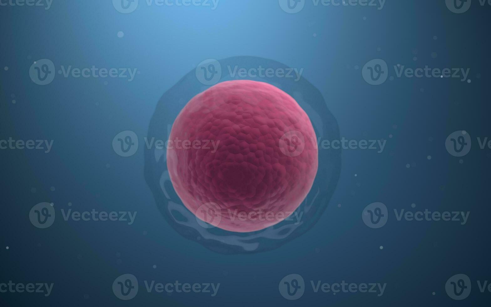 Biological cells with blue background, 3d rendering. photo