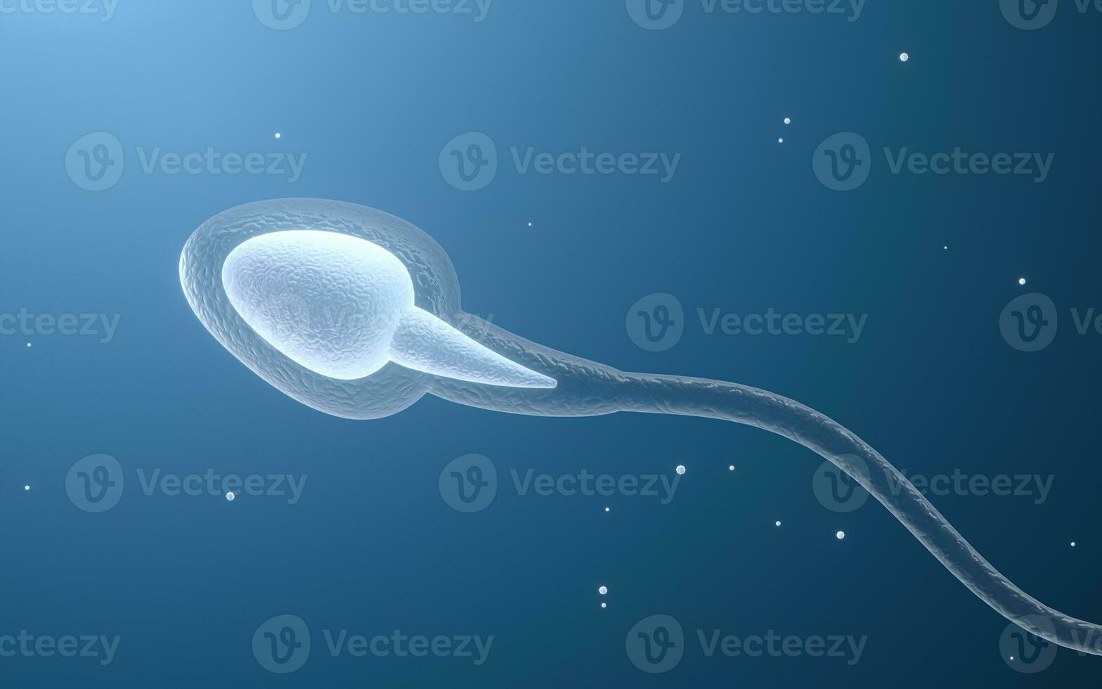 Human sperm cells, 3d rendering. photo