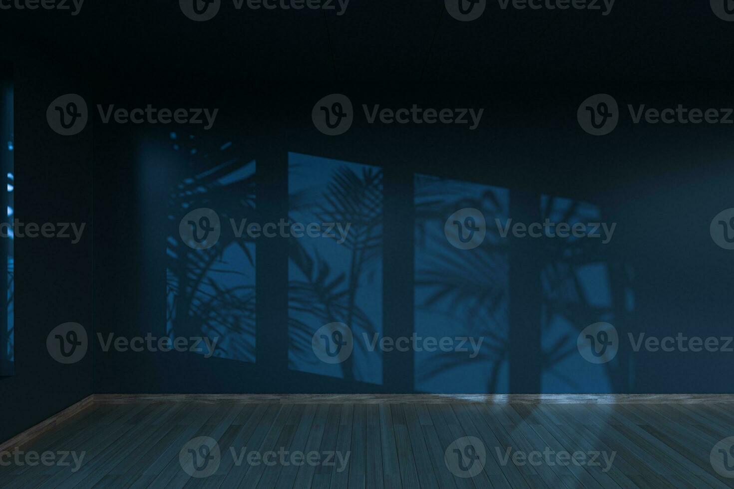 Empty room and shadows,wooden floor,3d rendering. photo