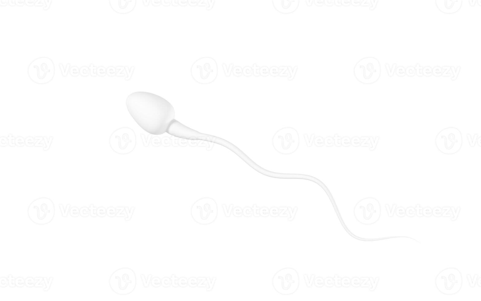 Human sperm cells, 3d rendering. photo