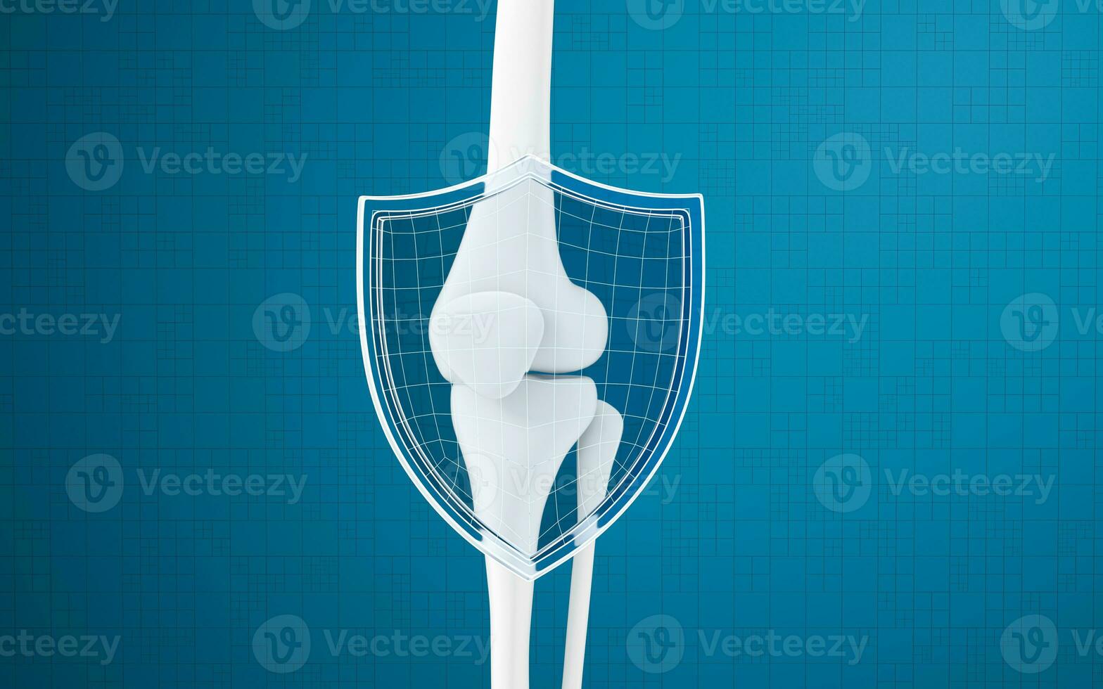 Leg bone and shield, 3d rendering. photo