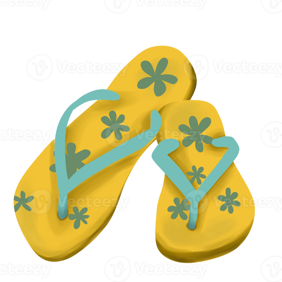 Colorful Flip Flops Illustration png