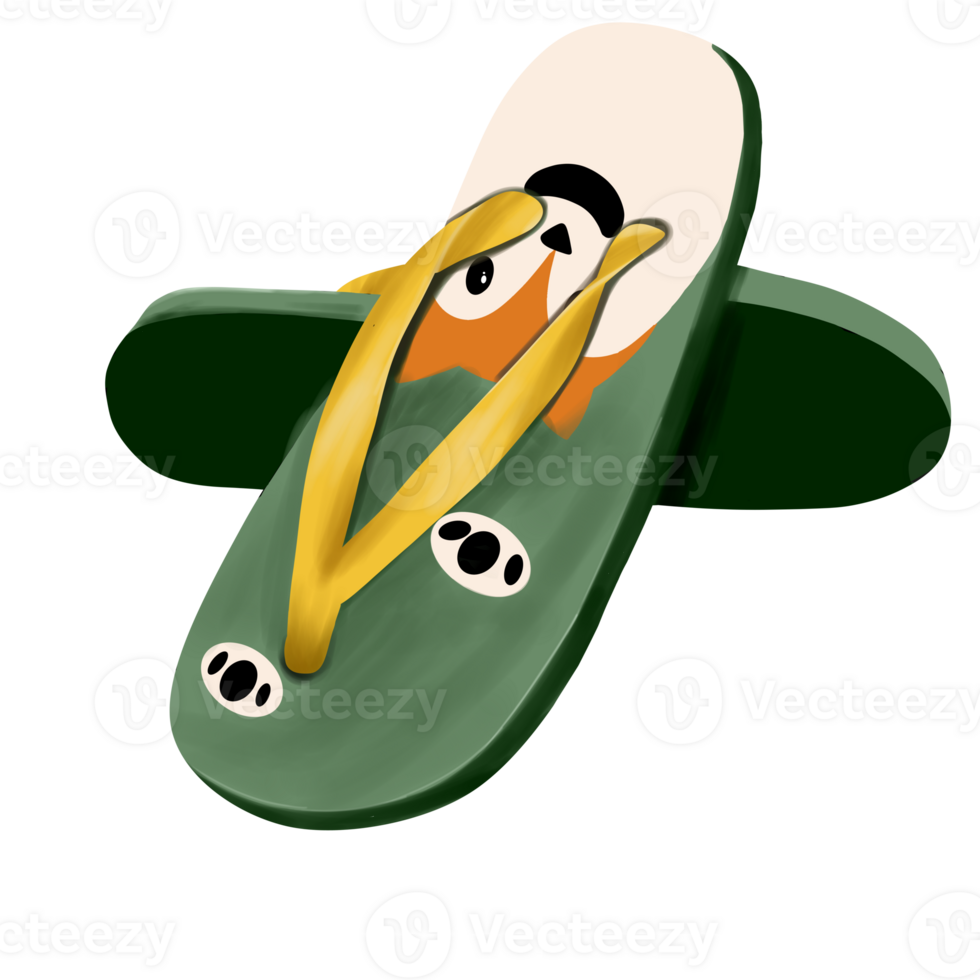 Colorful Flip Flops Illustration png