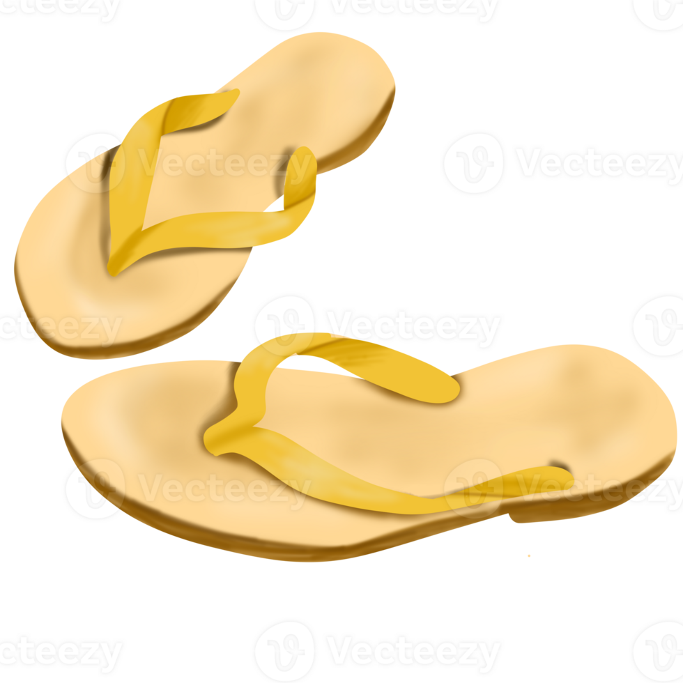 Colorful Flip Flops Illustration png