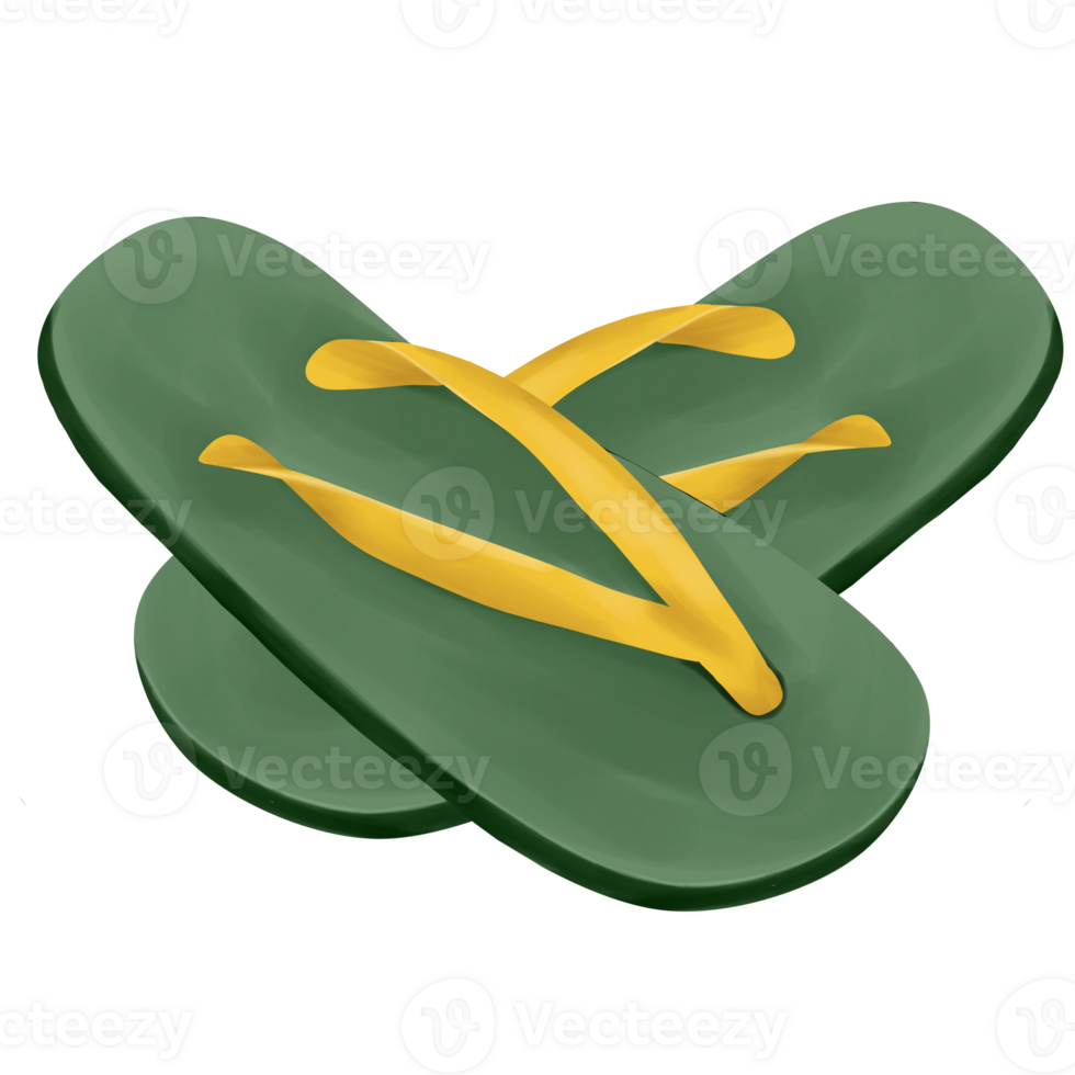 Colorful Flip Flops Illustration png