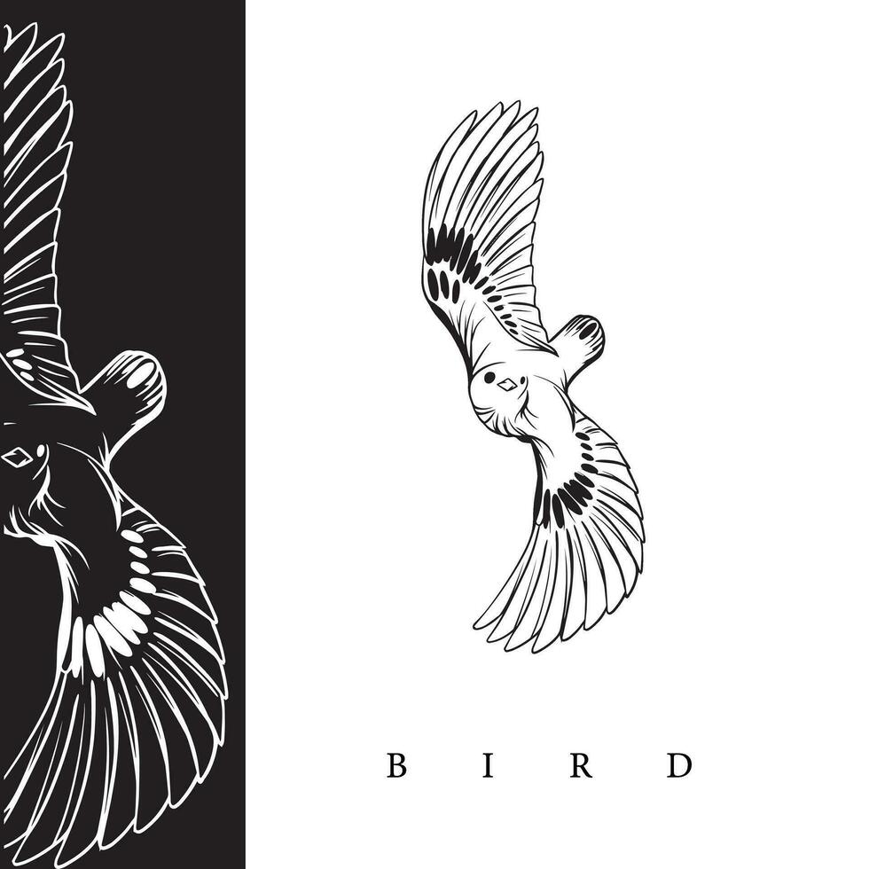 Luxury bird logo vector icon line art outline template