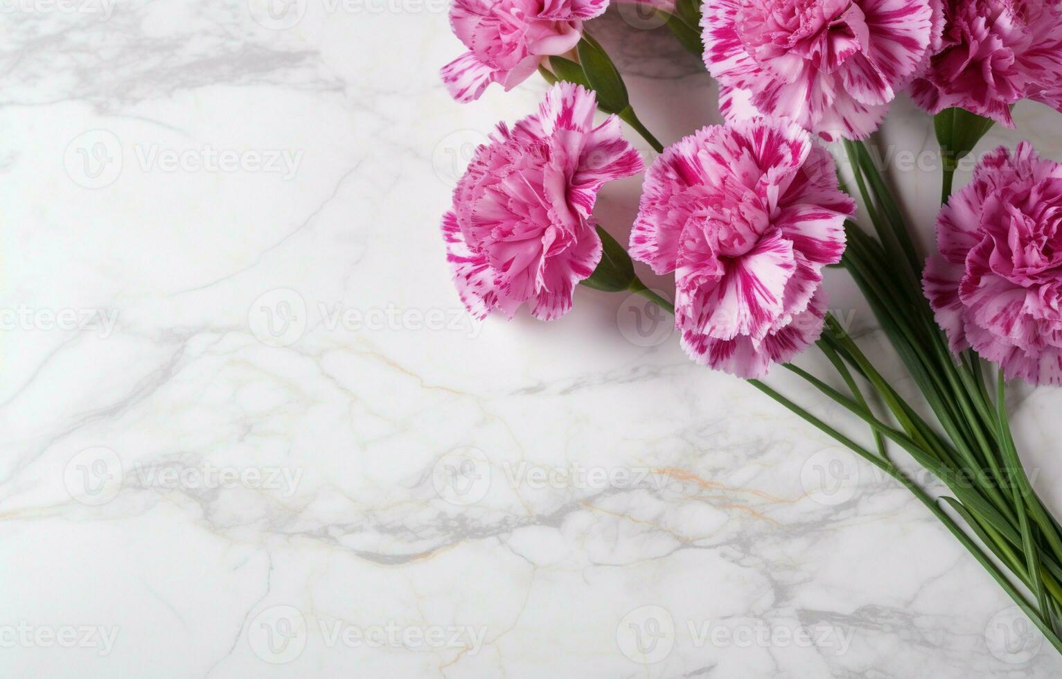 Carnations are beautiful flowers set against a marble background. photo