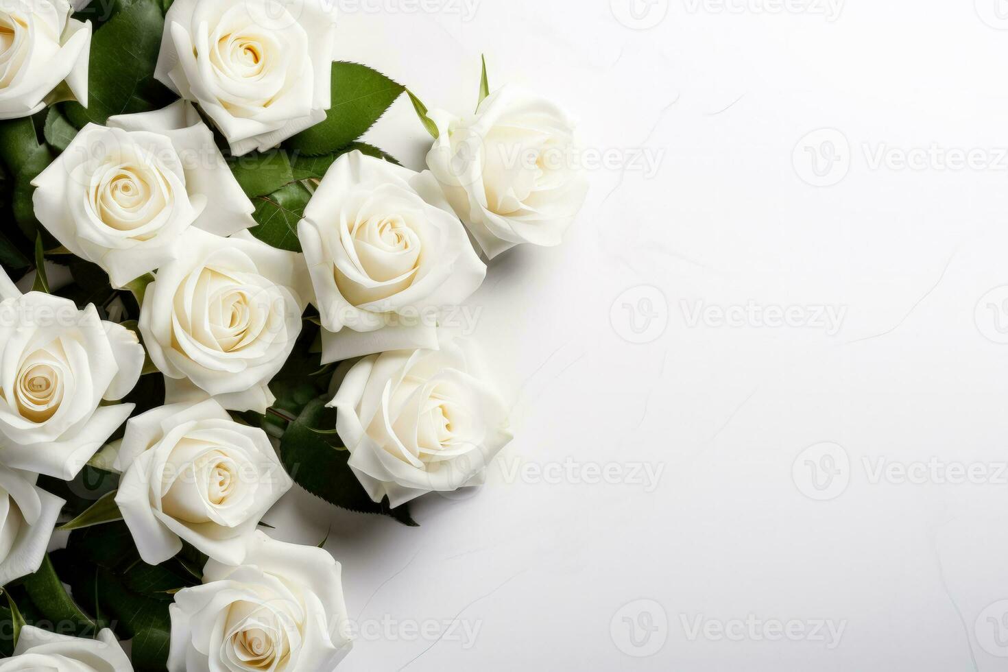 Funeral white roses on white background with copy space photo