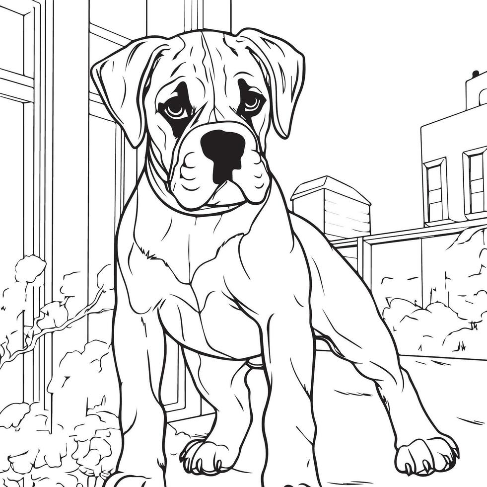 Boxer Dog Coloring Pages 1 954 - Boxer Dog Coloring Page Vector 