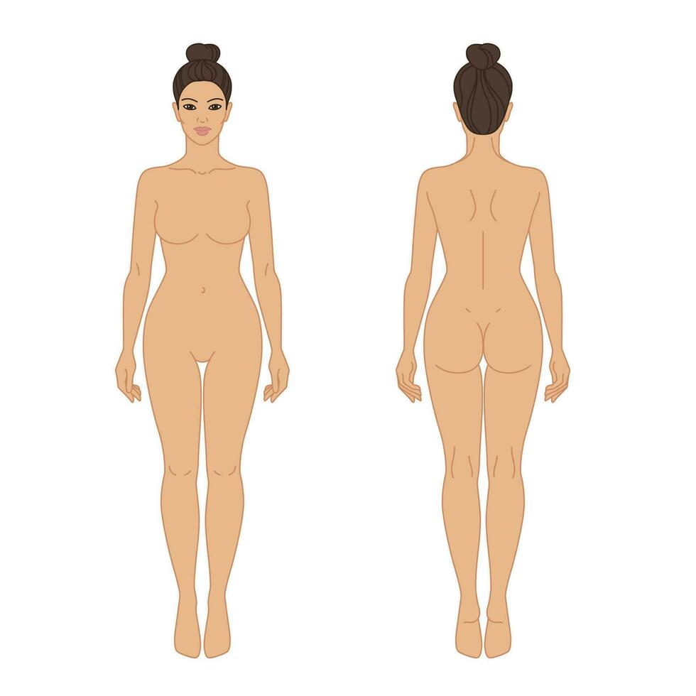 Woman body front and back view vector illustration. Isolated outline line contour color template girl without clothes.